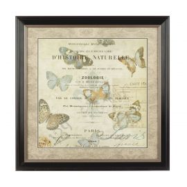 Premium Quality Framed Butterfly 2 Wall Art