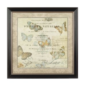 Premium Quality Framed Butterfly 2 Wall Art
